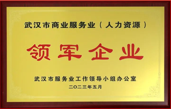 喜报丨热烈祝贺腾飞人才荣获武汉市服务业领军企业称号